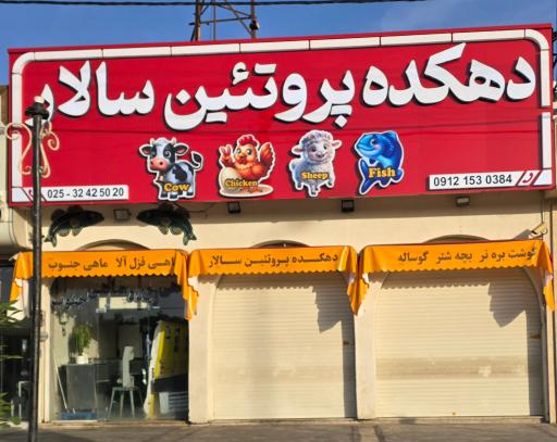 عکس دهکده پروتئین سالار