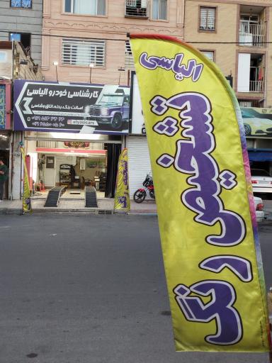 عکس کارشناسی خودرو الیاسی
