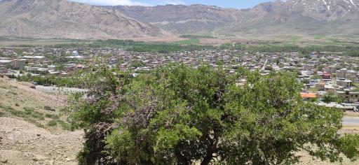 عکس شلمزار
