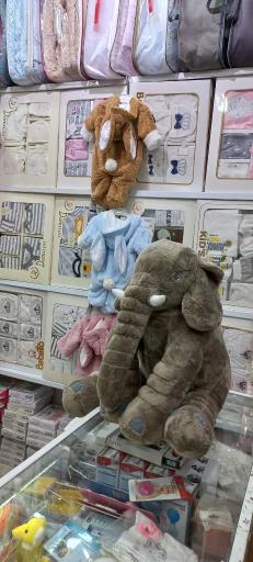 عکس سیسمونی پویان