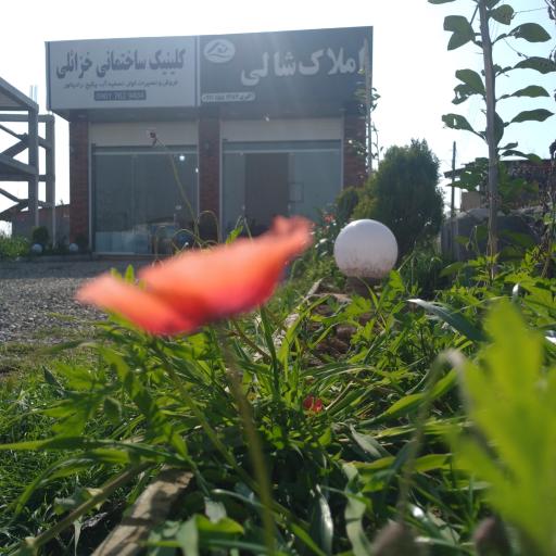 عکس املاک شالی