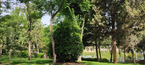 عکس بوستان بعثت