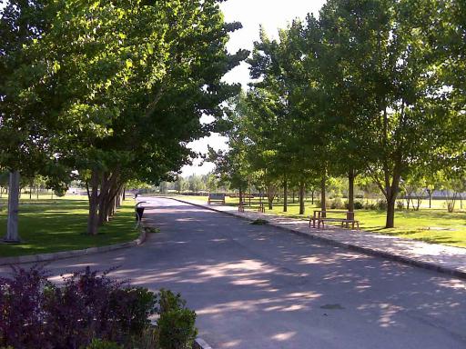 بوستان بعثت تهران