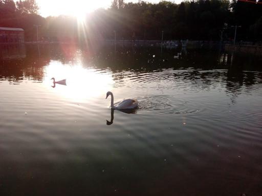 بوستان بعثت تهران