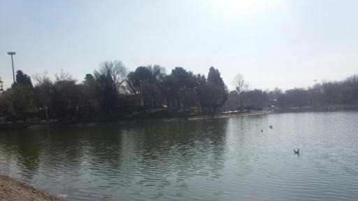 بوستان بعثت تهران