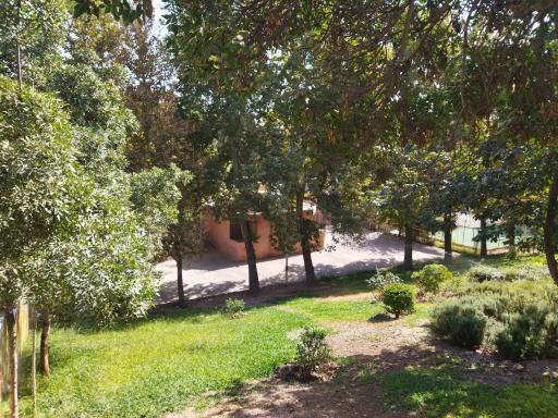 عکس بوستان بعثت