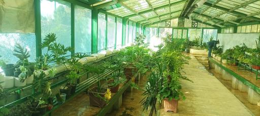 عکس بوستان بعثت