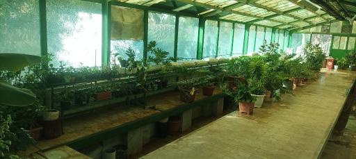 عکس بوستان بعثت