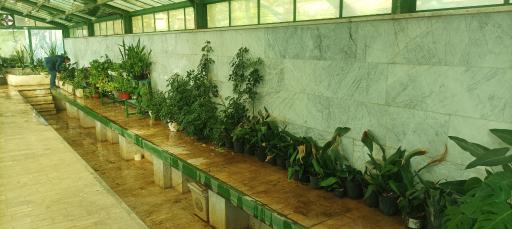 عکس بوستان بعثت