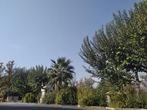 عکس بوستان بعثت