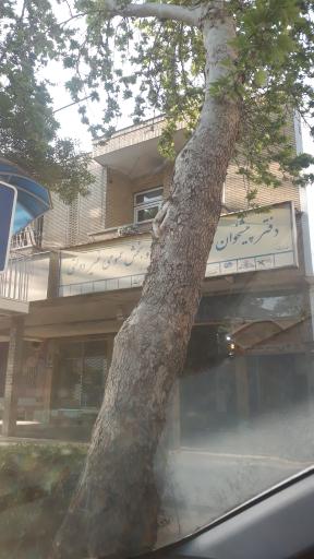 عکس دفتر پیشخوان دولت 1060