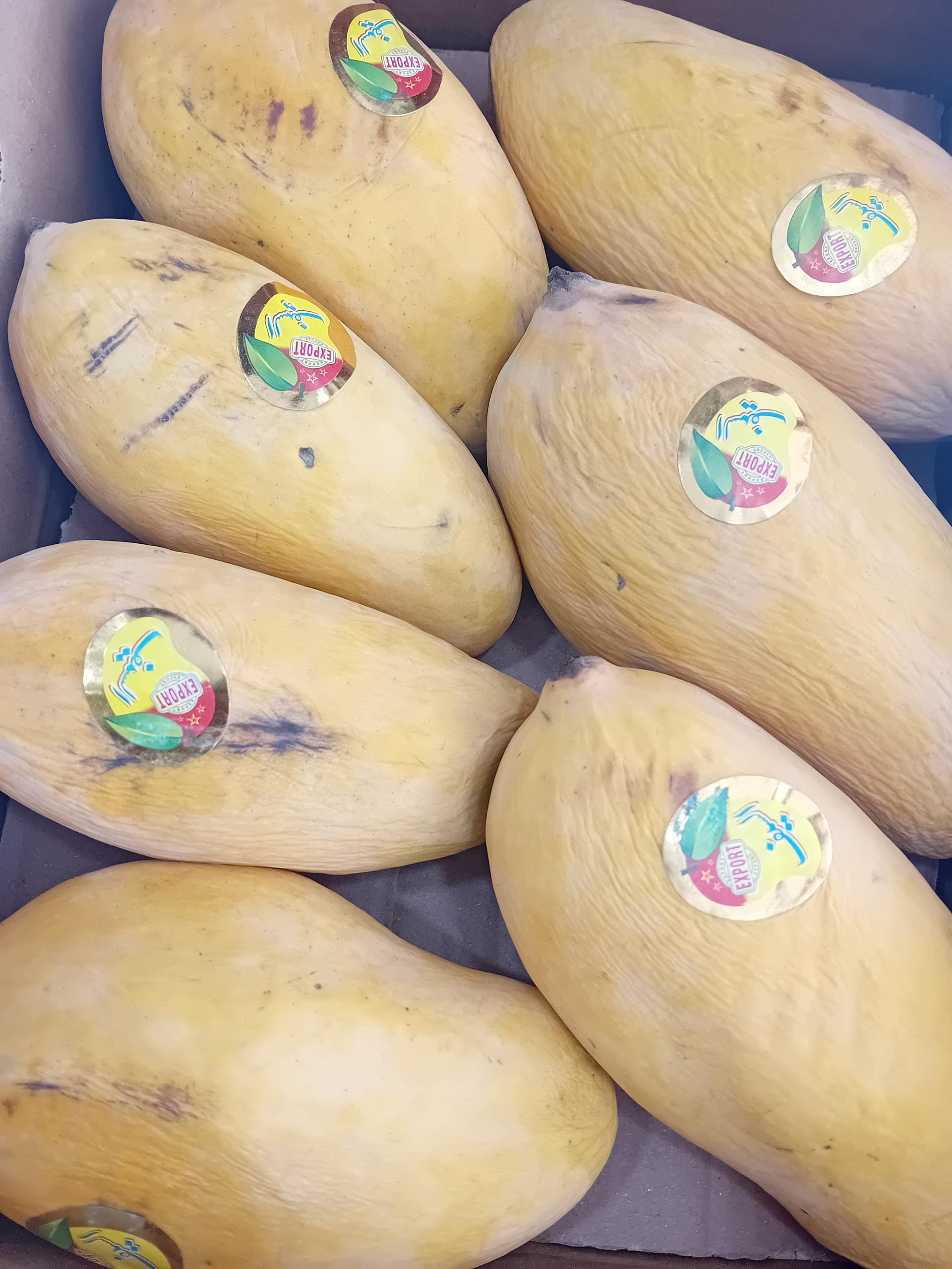 عکس میوه فروشی برادران مرادی