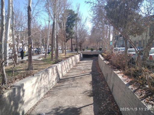 عکس فلاورجان