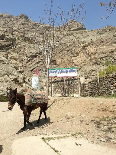 عکس سرویس بهداشتی