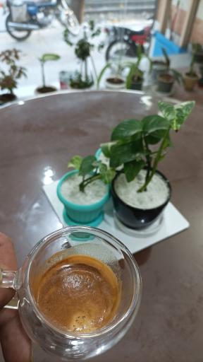 عکس قهوه شکلات آرتین شعبه2