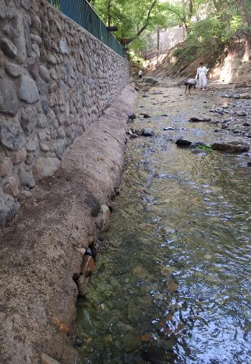 عکس باغ ماهان