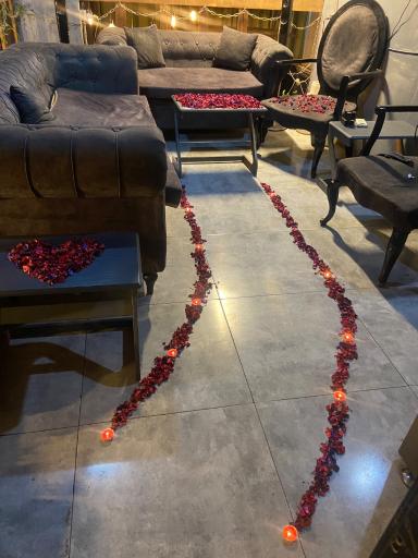 عکس کافه آنا