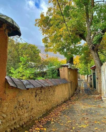 عکس فلاورجان