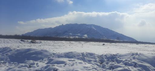 عکس فلاورجان