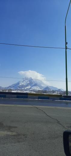 عکس فلاورجان