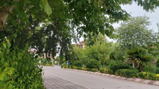 عکس دانشگاه آزاد اسلامی - واحد ساری