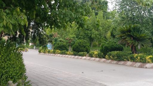 عکس دانشگاه آزاد اسلامی - واحد ساری