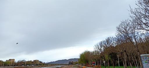 عکس فلاورجان