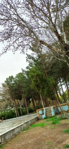 عکس فلاورجان