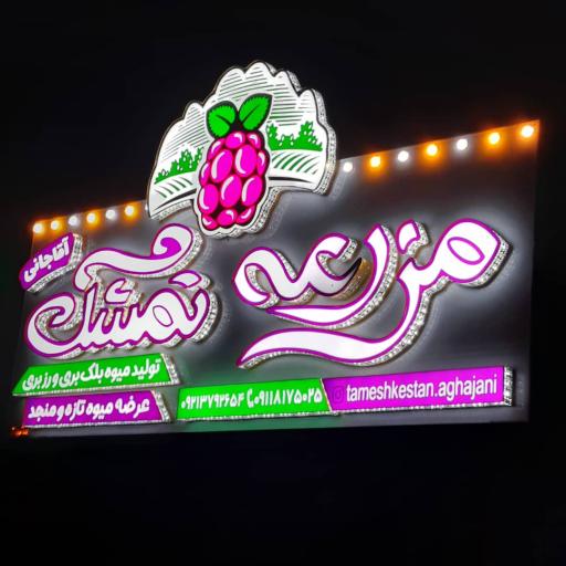 عکس مزرعه تمشک آقاجانی