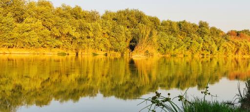 عکس حر ریاحی