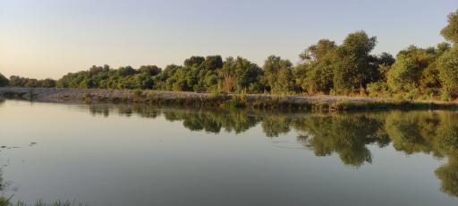 عکس حر ریاحی