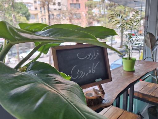 عکس کافه رومی