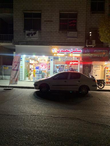 عکس مسکن سعیدی 
