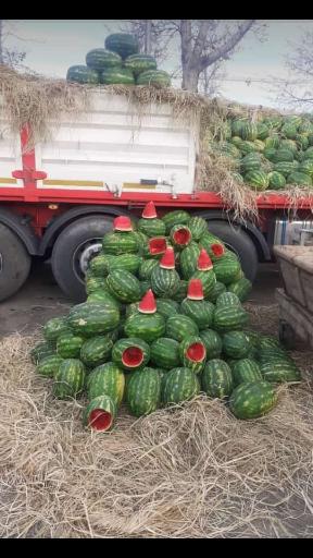 عکس بارفروشی حاج عبدالله اسماعیلی و پسران 