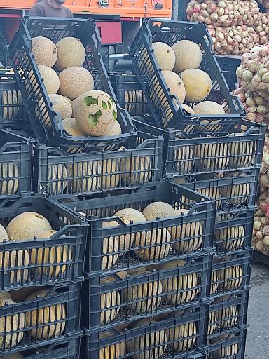 عکس بارفروشی حاج عبدالله اسماعیلی و پسران 