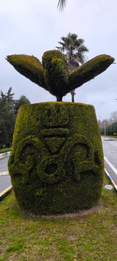 عکس مجتمع ورزشی آموزشی نفت محمودآباد