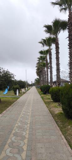 عکس مجتمع ورزشی آموزشی نفت محمودآباد