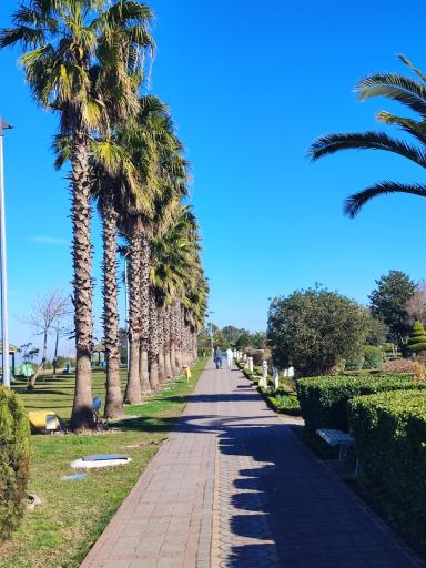 عکس مجتمع ورزشی آموزشی نفت محمودآباد