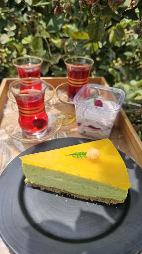 عکس مزرعه تمشک آقاجانی