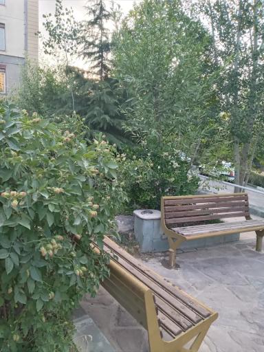 عکس برج یاس