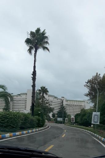 عکس مجتمع ورزشی آموزشی نفت محمودآباد