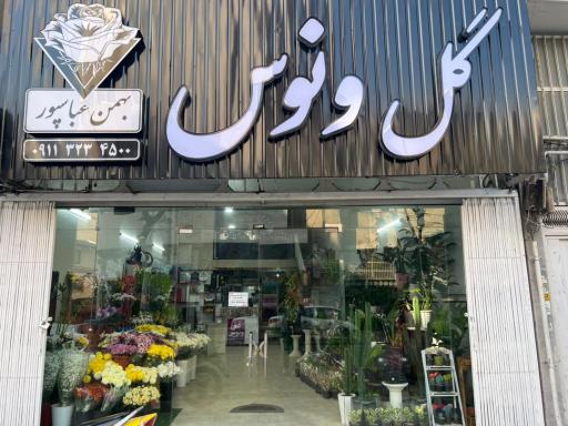 عکس گل ونوس