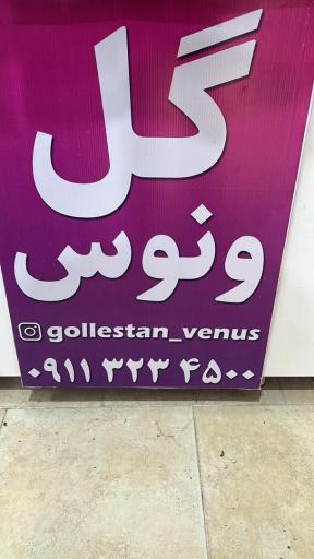 عکس گل ونوس