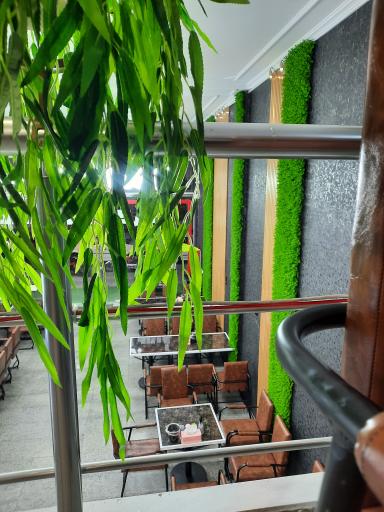 عکس بستنی گل سرخ