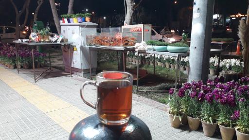 عکس گل جردن