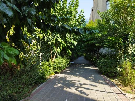 عکس بوستان کوه نور