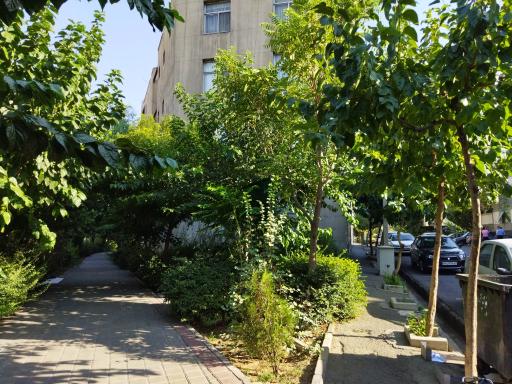 عکس بوستان کوه نور