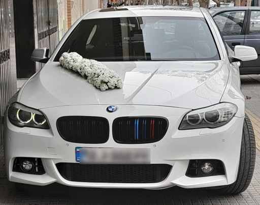 عکس گل جردن