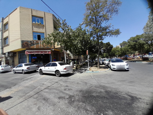 عکس گل جردن