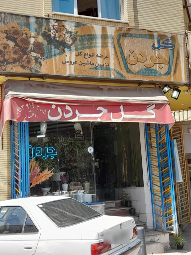 عکس گل جردن